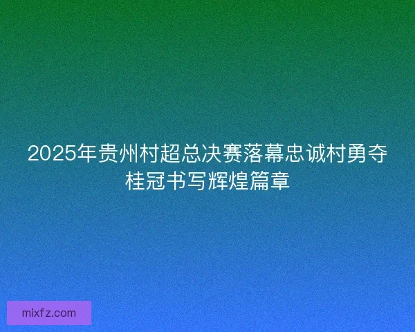2025年贵州村超总决赛落幕忠诚村勇夺桂冠书写辉煌篇章 2025年贵州村超总决赛落幕忠诚村勇夺桂冠书写辉煌篇章