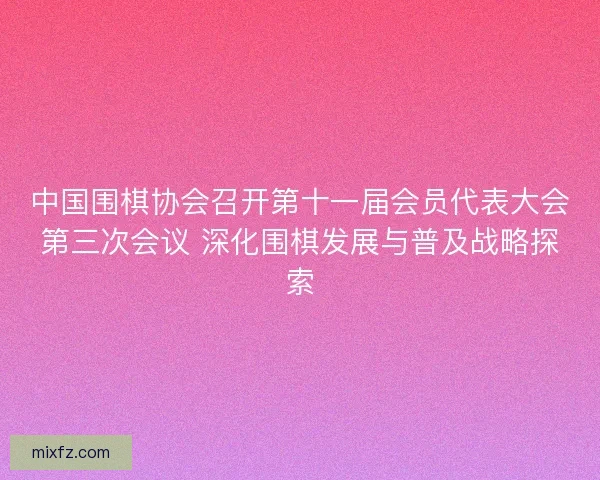 中国围棋协会召开第十一届会员代表大会第三次会议 深化围棋发展与普及战略探索